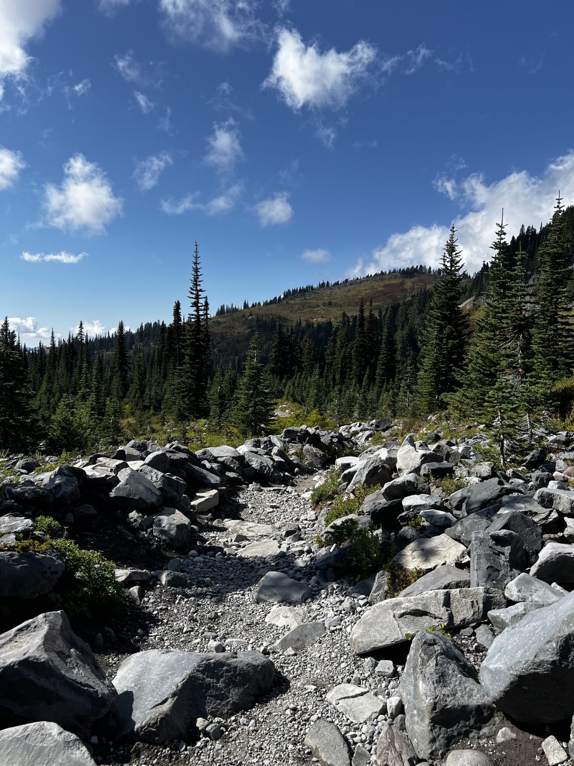 Mount Rainier NP 